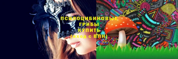 молекула духа Ладушкин