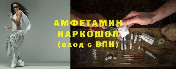 молекула духа Ладушкин