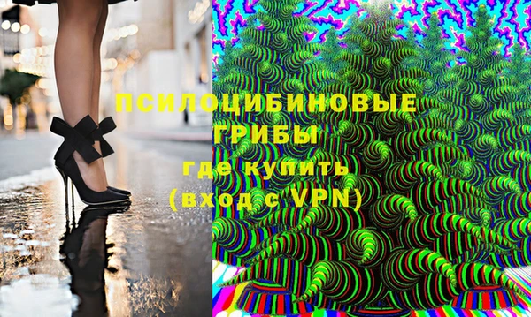 молекула духа Ладушкин