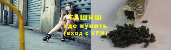 молекула духа Ладушкин