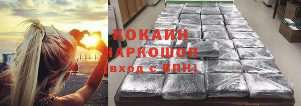 молекула духа Ладушкин