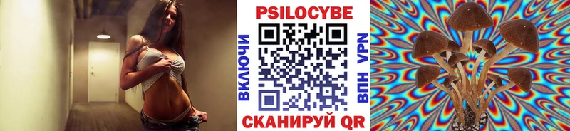 мориарти телеграм  Южно-Сухокумск  Псилоцибиновые грибы прущие грибы 