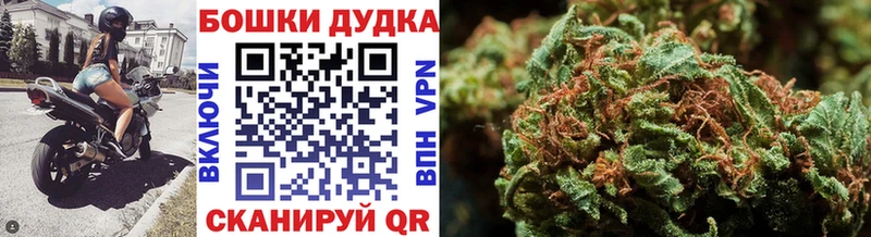 Конопля White Widow  даркнет Telegram  Южно-Сухокумск  купить  